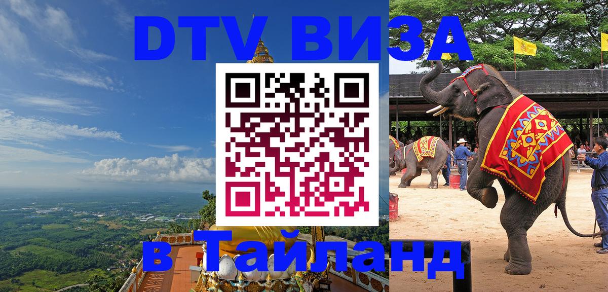 Цены на DTV визу в Таиланд — пакеты услуг, достаточно даже паспорта - Брянск  08.01.2026 